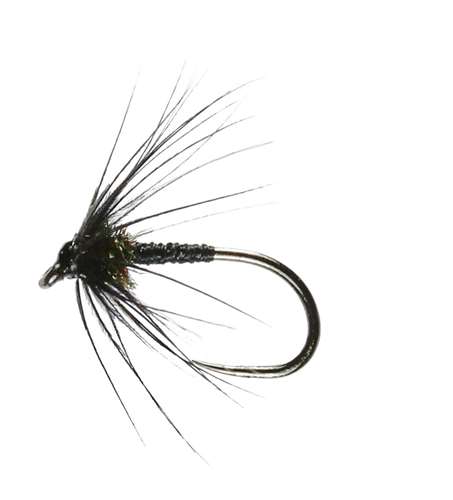 Caledonia Flies Black Spider Wet Barbless #12 Fishing Fly