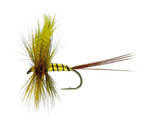 Caledonia Flies Erne Special Mayfly Dry #10 Fishing Fly