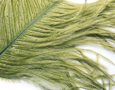 Veniard Ostrich Herl Feather Golden Olive Fly Tying Materials