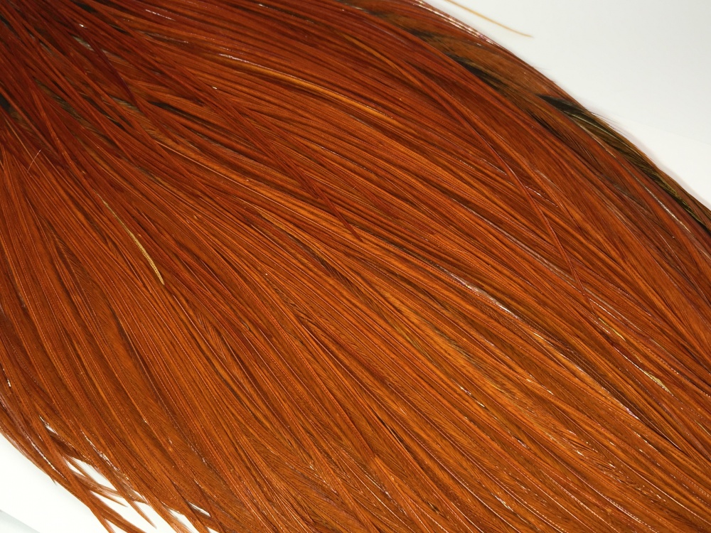 Whiting Dry Fly Cock Feather Neck 1/2 Bronze Grade Brown Fly Tying Materials