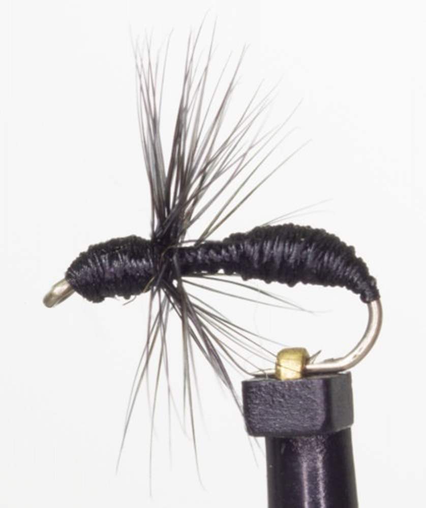 The Essential Fly Roach & Rudd Ant Black Fishing Fly