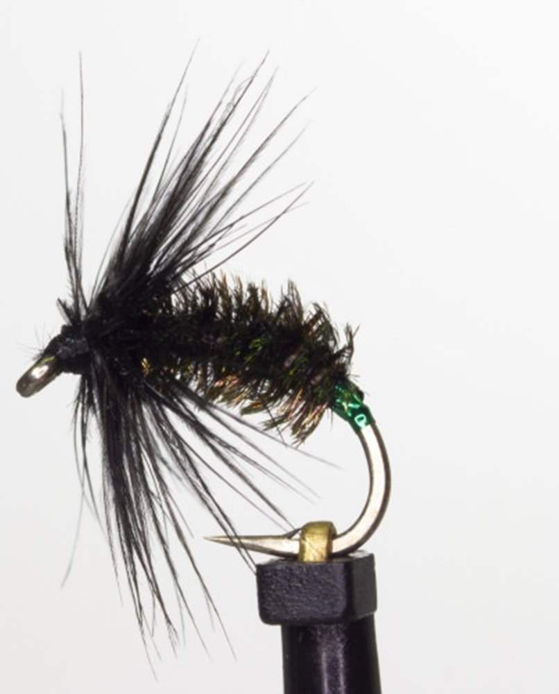The Essential Fly Roach & Rudd Black Peacock Green Holo Fishing Fly