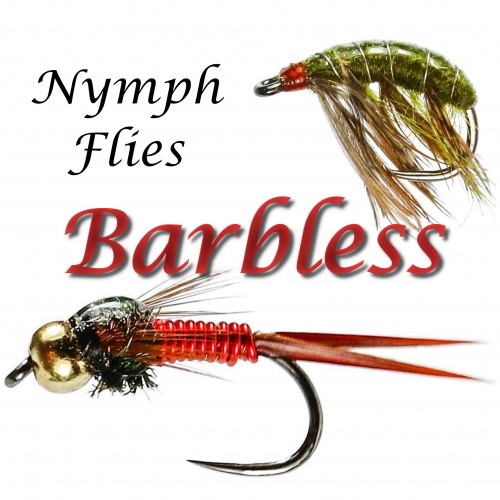 Euro Jig Silver Fish Barbless S10e Fishing Fly, Nymphs