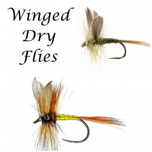 Dragon Tackle Dry Daddies Fishing Fly Assortment