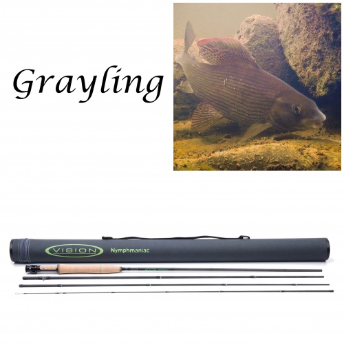 FLY ROD DAIWA SILVERCREEK #9 TESTING/ FLY FISHING FOR PIKES IN THE UK  CANALS 
