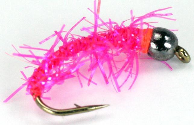 Sandy Dickson Pink Straggle Bug