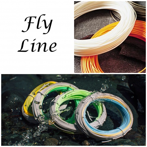 Glossary of Fly Line Terms