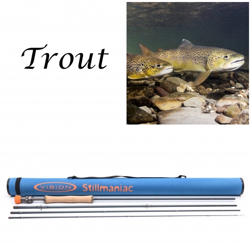 Vision Custom (Hybrid) (Dh) Fly Rod 13 Foot #8 For Fly Fishing