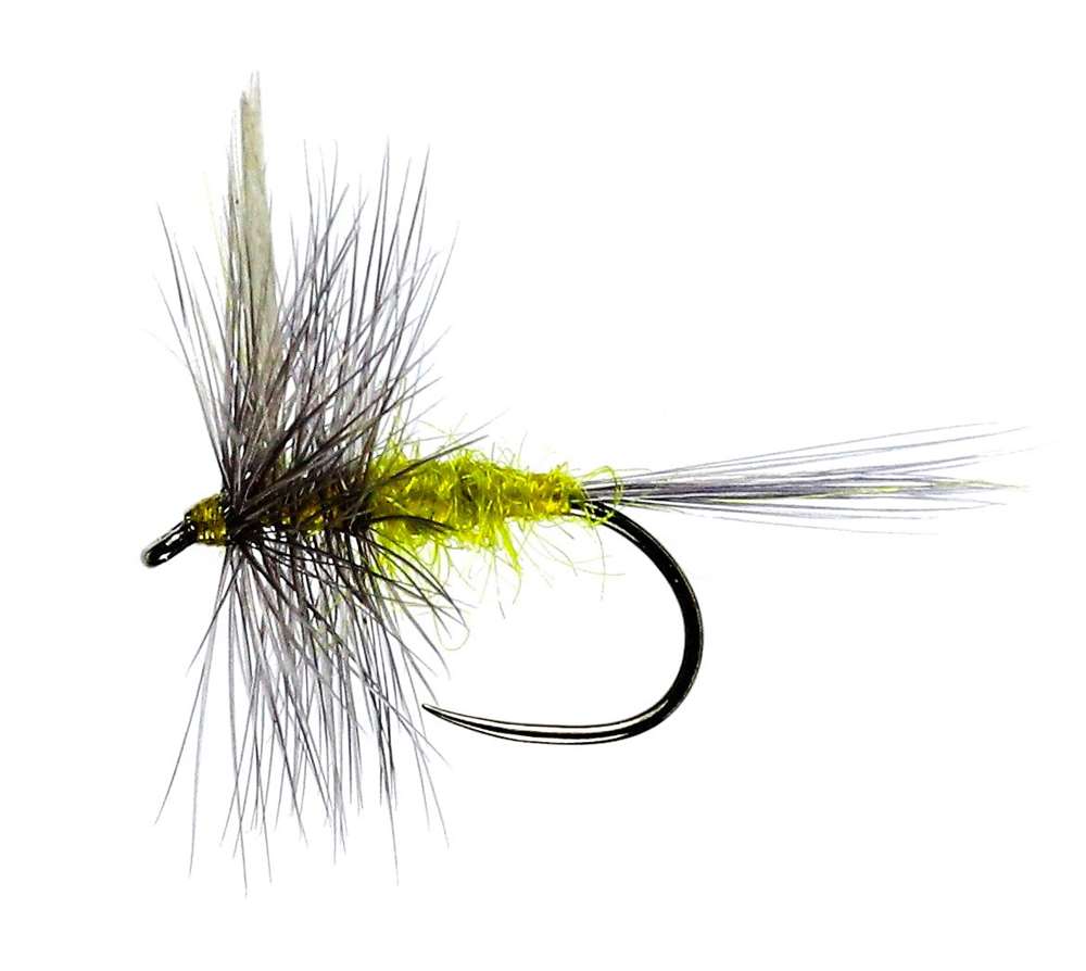 Olive Dry Flies