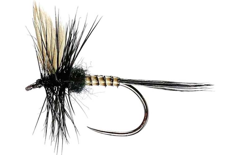 Trout & Grayling Flies