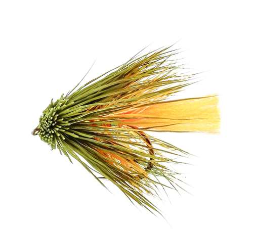 Which Fly For Fishing For Trout?