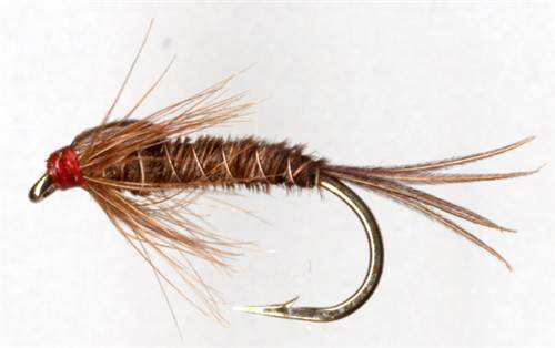 Pheasant Tail Nymph - the closest you can get to a fly for all seasons