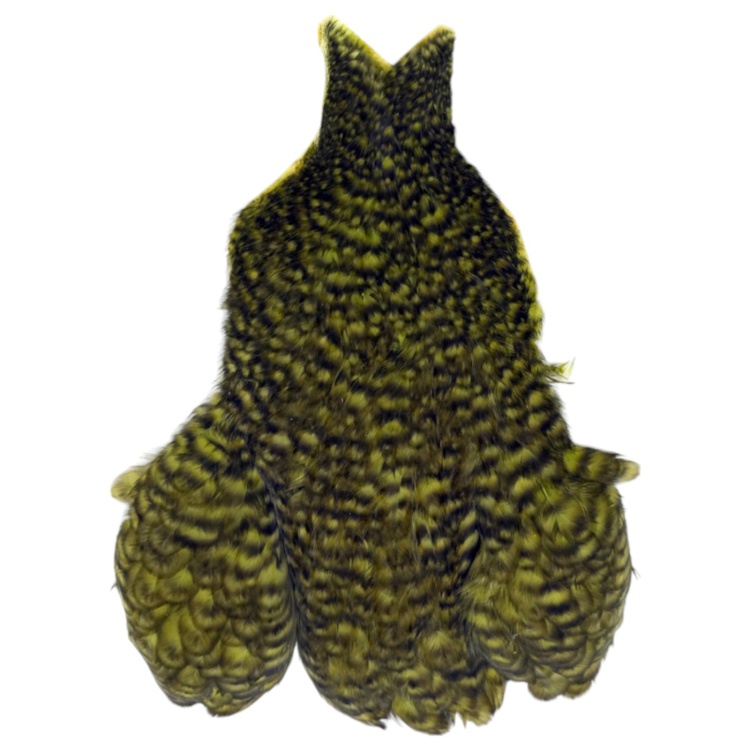 Whiting 4 B's Hen Cape Grizzly dyed Olive