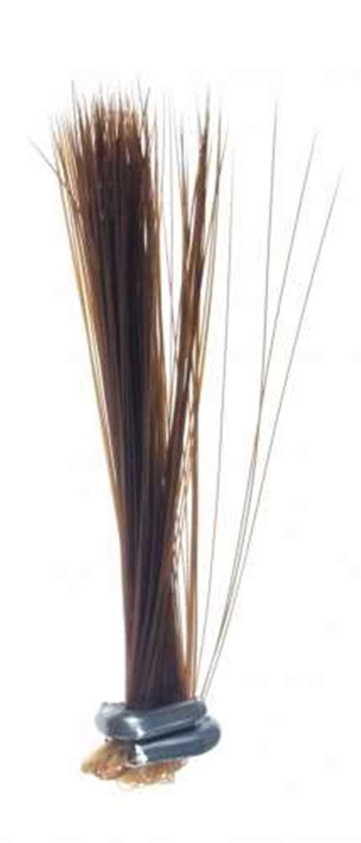 Tail Fibre Fibbets Olive Brown