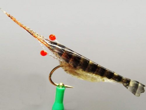 SemperSkin Shrimp Medium (Hook #6) Natural