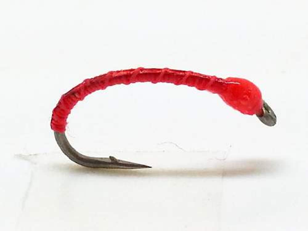HOW TO FISH A BLOODWORM PATTERN