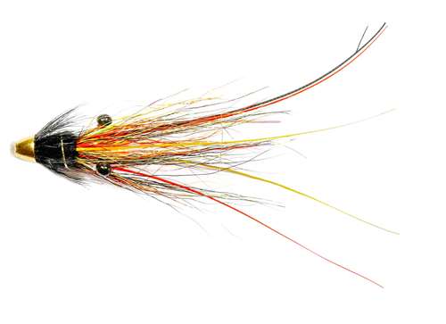 .com : Wifreo Vampfly Salmon Trout Steelhead Fishing Flies Cone Head Tube  Fly Lures Set 10pcs/Set : Sports & Outdoors