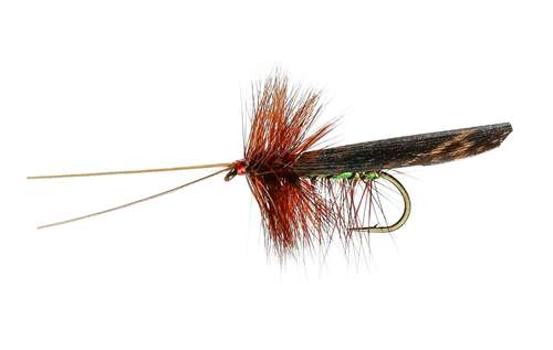4pcs 12# Goddard Caddis/Chuck Caddis Dry Fly Baits Fishing Trout