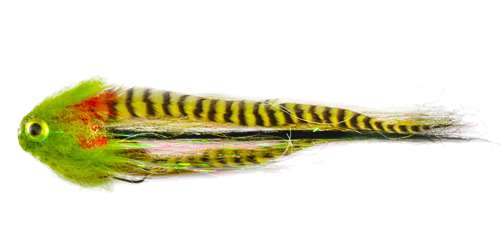 PREDATOR BASICS #3  How to fish the Dropshot For Perch and