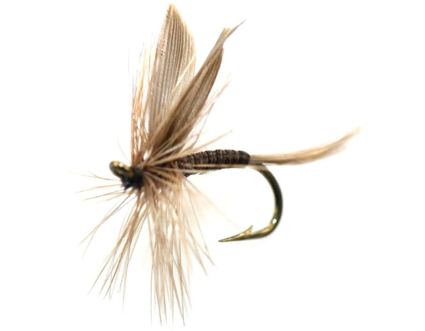 Baetis Tenax - Medium Olives | Best Trout Flies