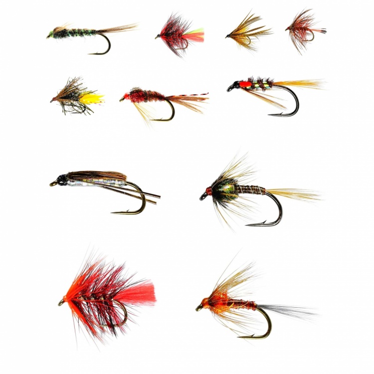 The Essential Fly Buzzer Fly Pattern Range