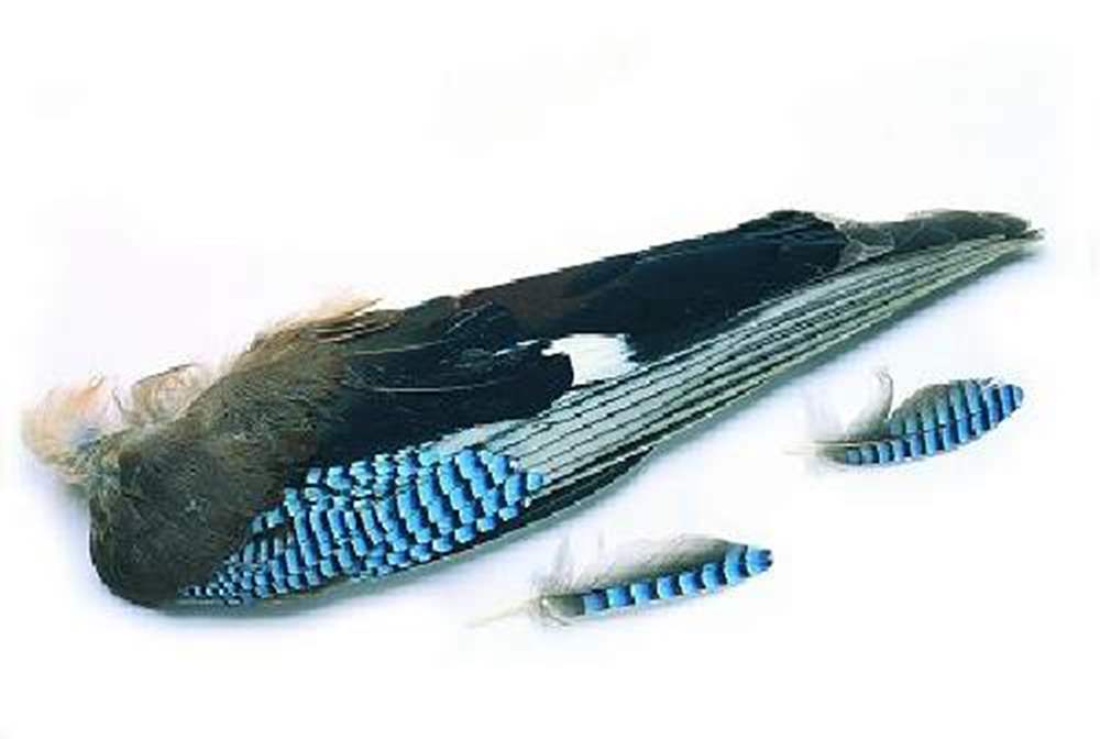 Blue Jay Feathers Fleece Blanket by Tom Martin - Science Source