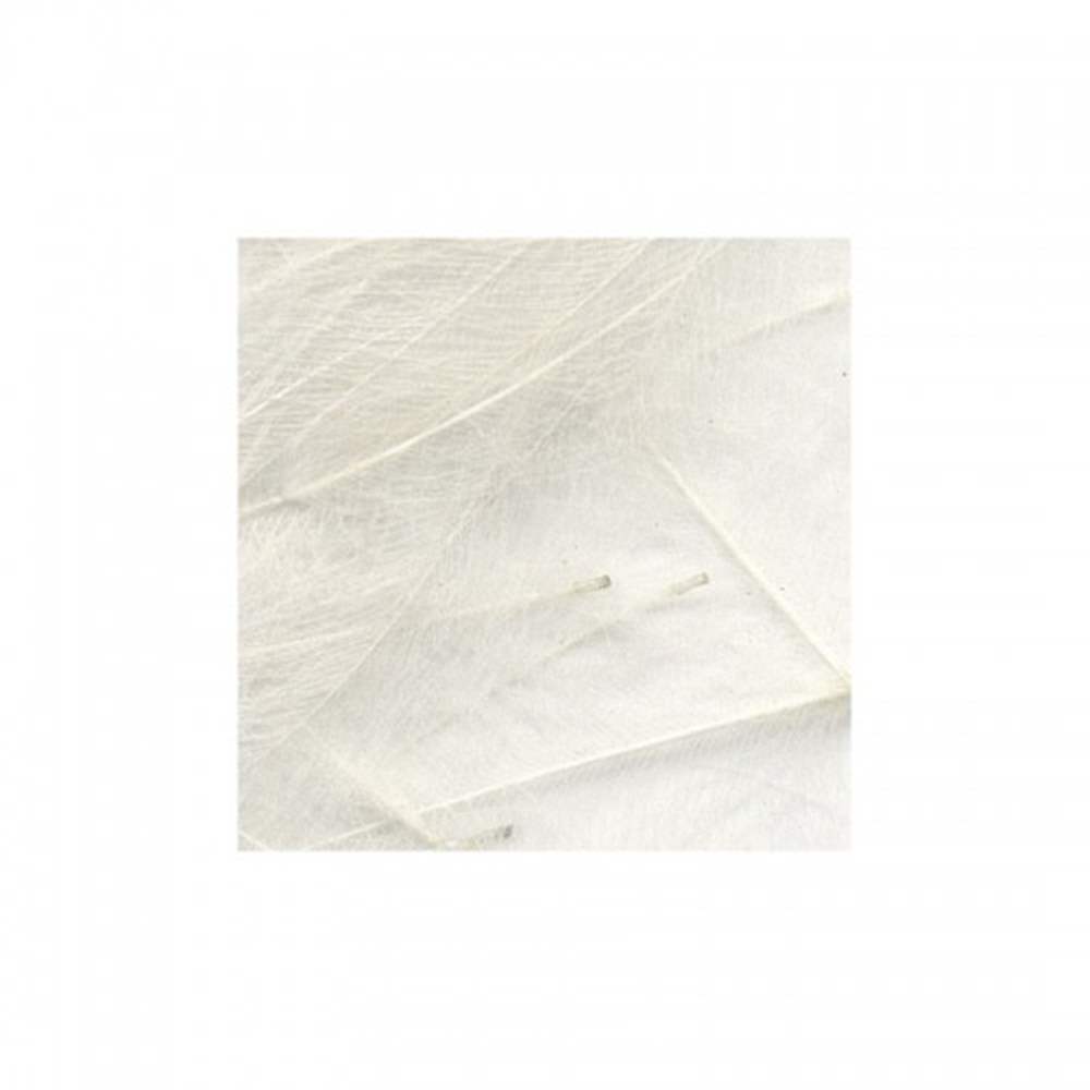 Marc Petitjean Cdc Feathers 1 Gram Pack White #5 Fly Tying Materials