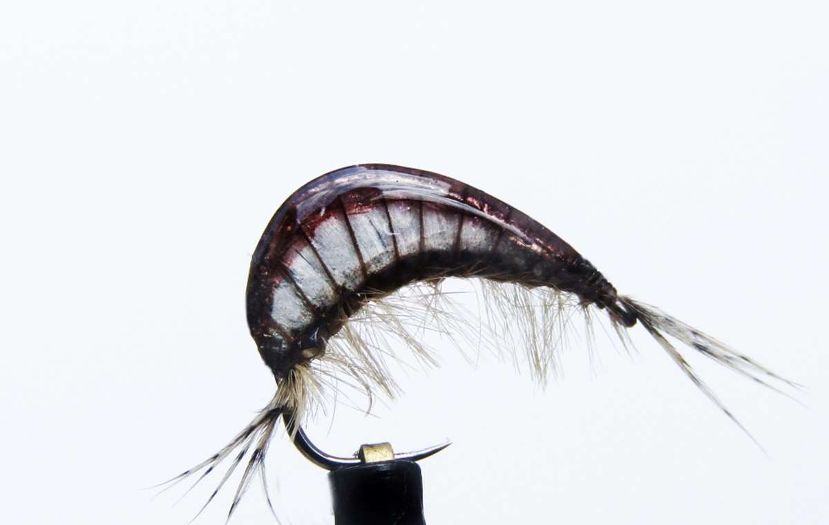 Gaga Gammarus Very Light Grey #10 Shrimp Fishing Fly