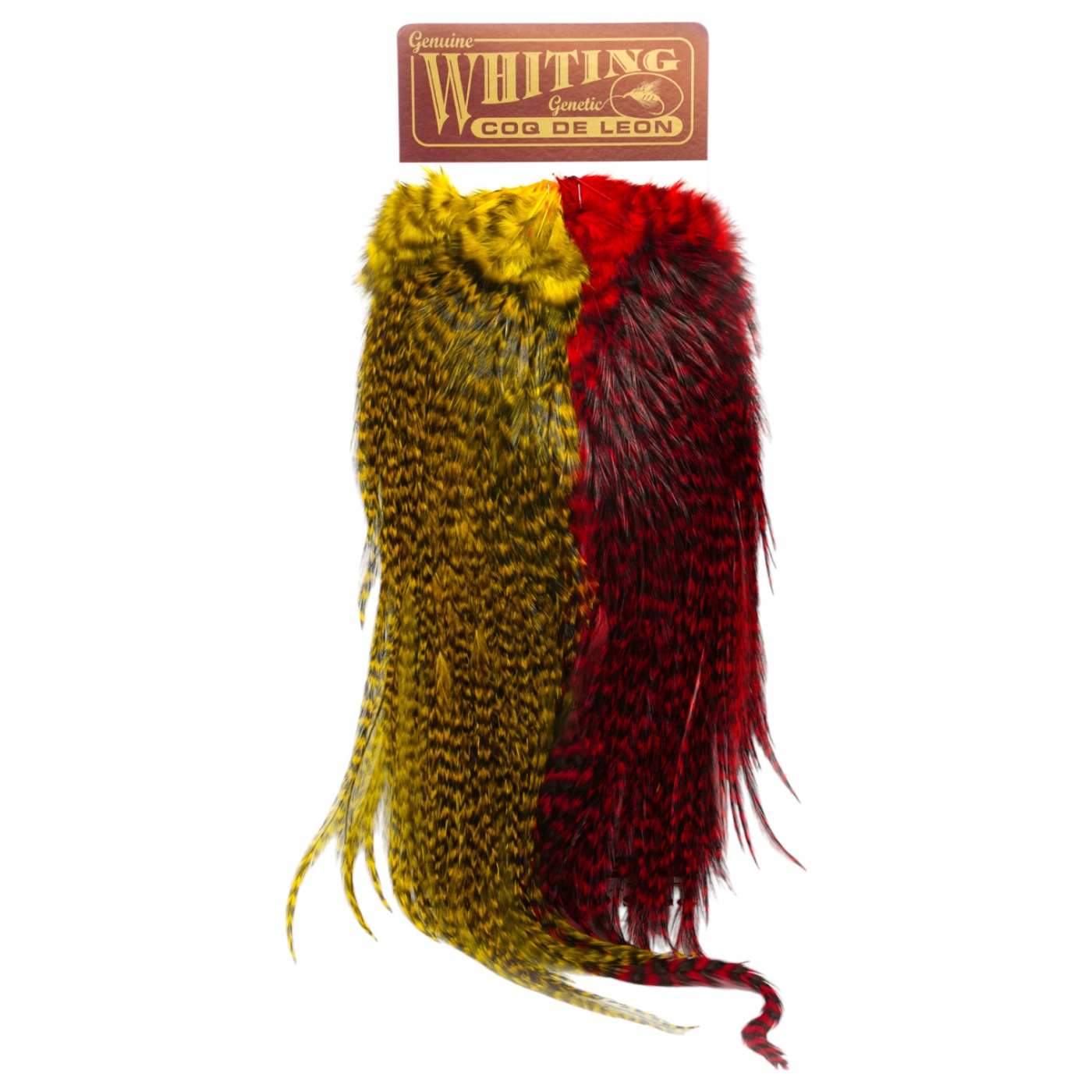 Whiting Coq de Leon Predator Pack, Grizzly Pardo Red & Yellow