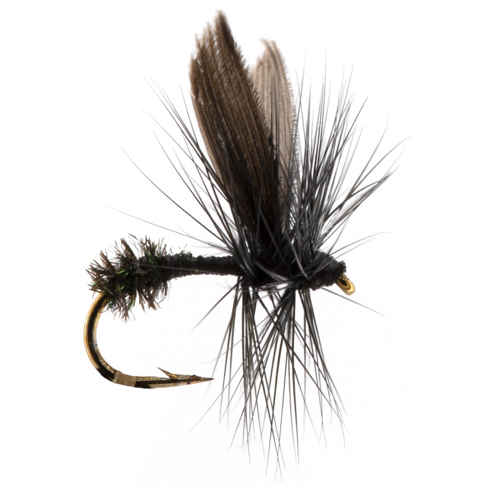 Dry Flies - Black Ant Traditional - Hook Size : 16 